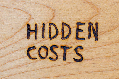 The Hidden Cost of being Visually Impaired